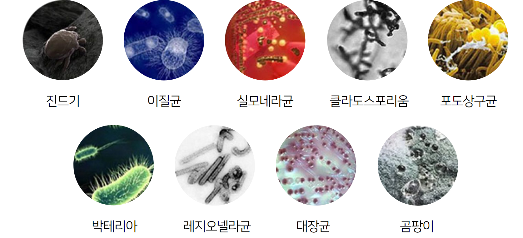 에어컨 세균 종류