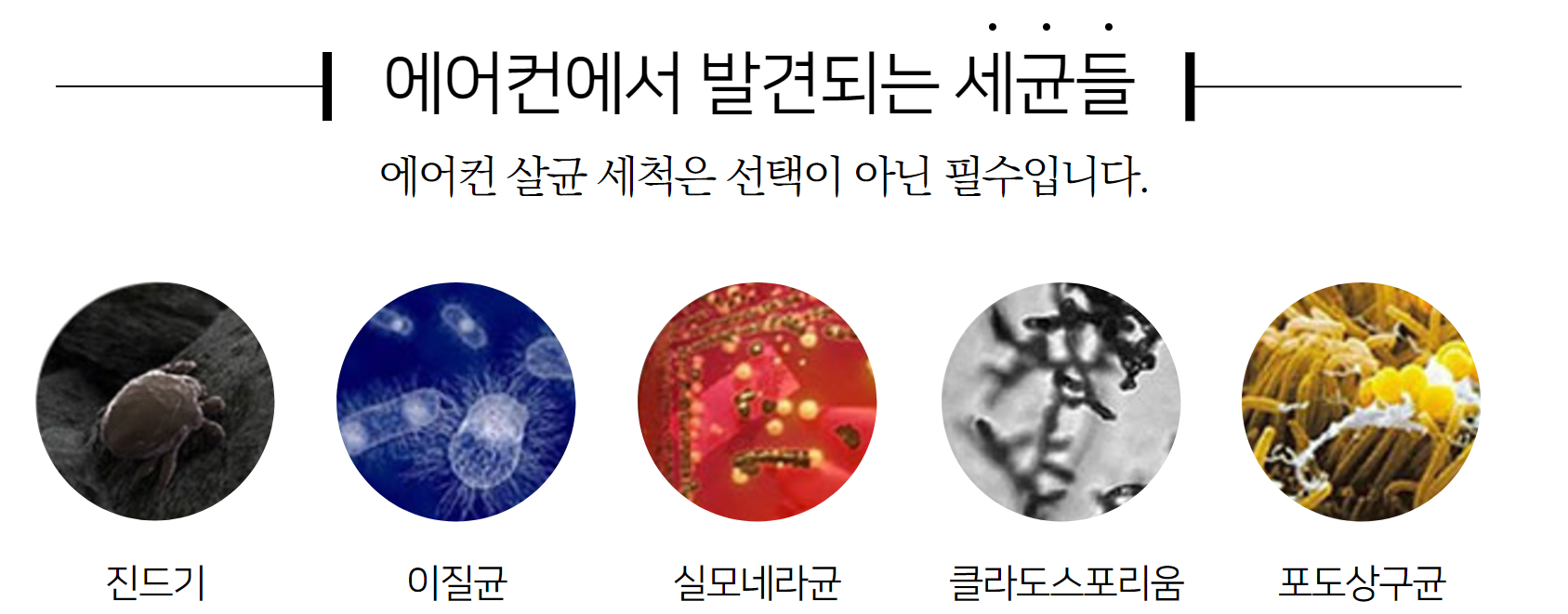 에어컨에서 발견되는 세균들